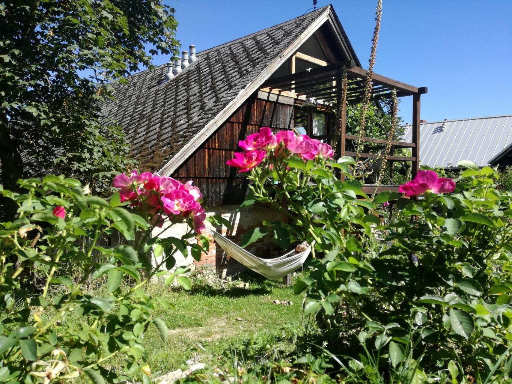 Apartment Gospodarstwo Ekoturystyczne Artystyka